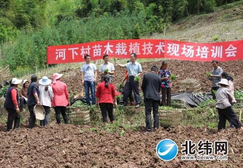 天全县林业局在新华乡河下村开展苗木栽植技术培训.