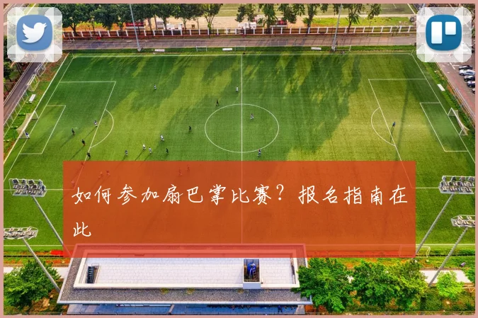 如何参加扇巴掌比赛？报名指南在此