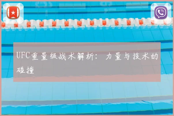 UFC重量级战术解析：力量与技术的碰撞