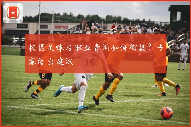 校园足球与职业青训如何衔接?专家给出建议