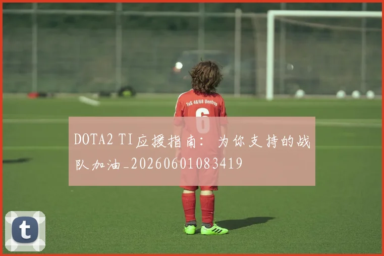 DOTA2 TI应援指南：为你支持的战队加油_20260601083419