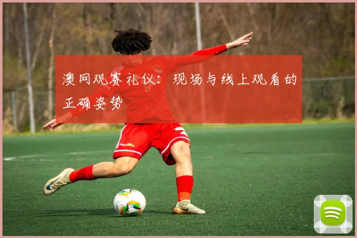 澳网观赛礼仪：现场与线上观看的正确姿势